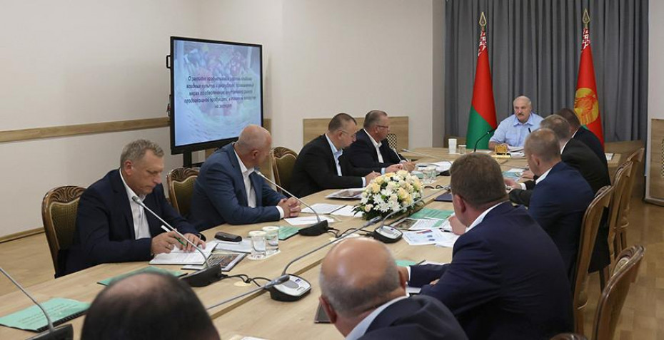 Александр Лукашенко взялся за развитие садоводства. Какие задачи стоят перед правительством и аграриями.
Президент посетил ПК имени Кремко