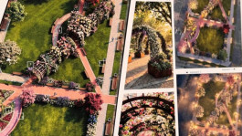 Фото Гродненского горисполкома